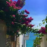 度假村 Ria Mare
