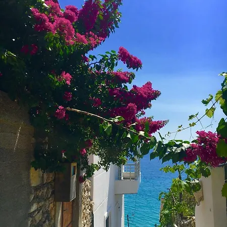 Θέρετρο Ria Mare
